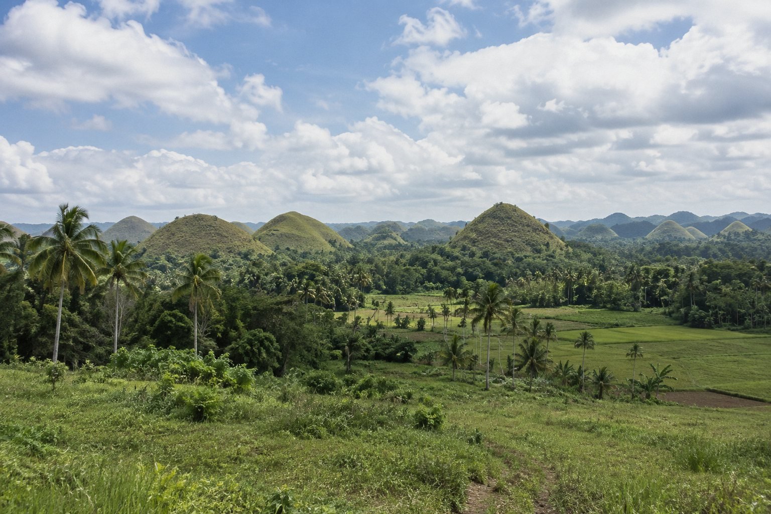 Chocolate Hills countryside near Carmen, Bohol