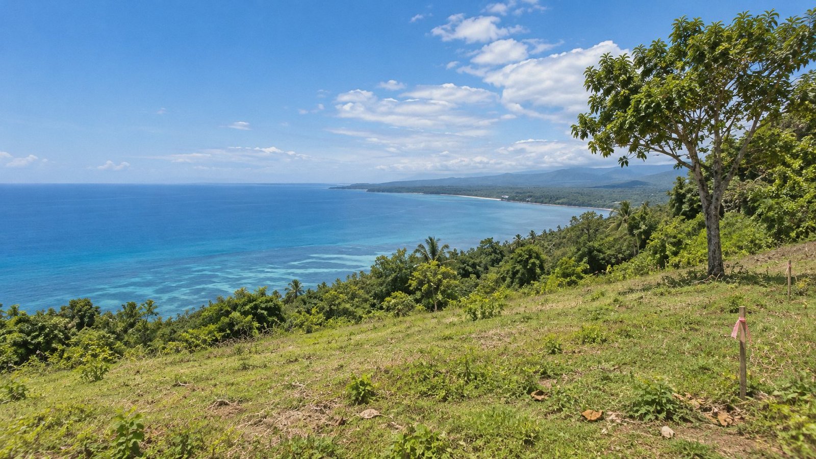 Open hilltop land with a sea view in Bohol