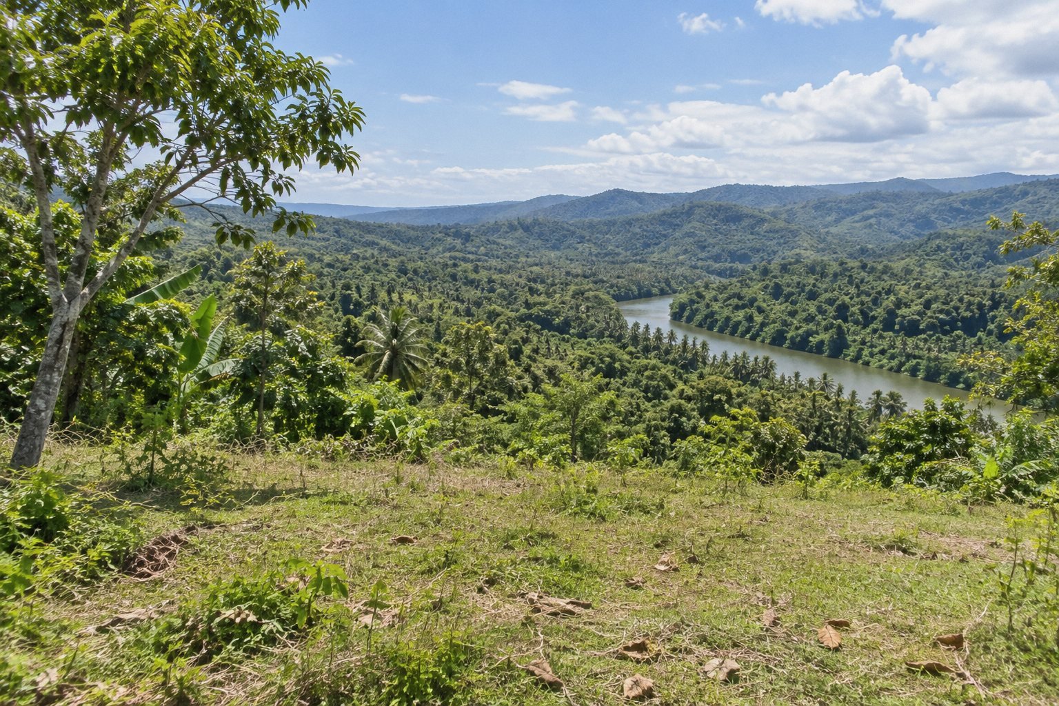 Hillside clearing above the Loboc River valley